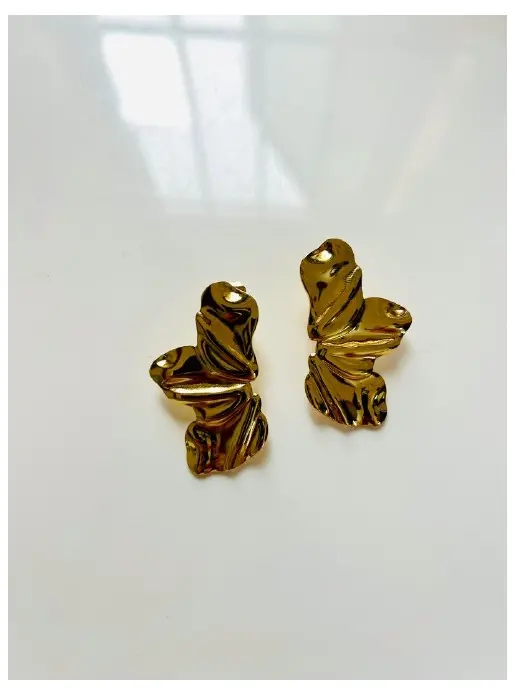 Wings earrings